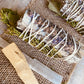 Clean Slate Sage Bundle