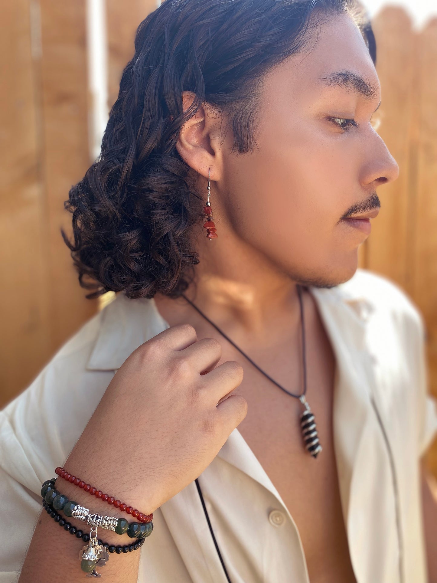 Red Jasper Drop Earrings